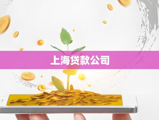 上海贷款公司