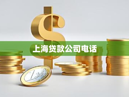 上海贷款公司电话