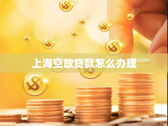 上海空放贷款怎么办理