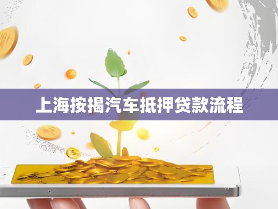 上海按揭汽车抵押贷款流程