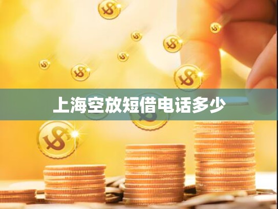 上海空放短借电话多少