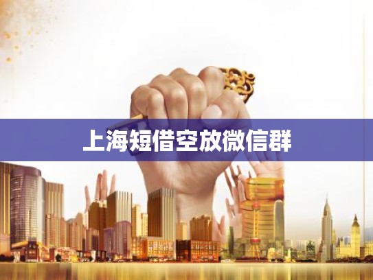 上海短借空放微信群