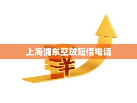 上海浦东空放短借电话