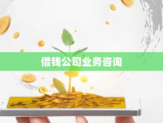 借钱公司业务咨询