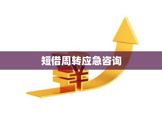 短借周转应急咨询