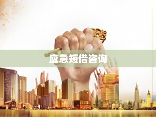 应急短借咨询